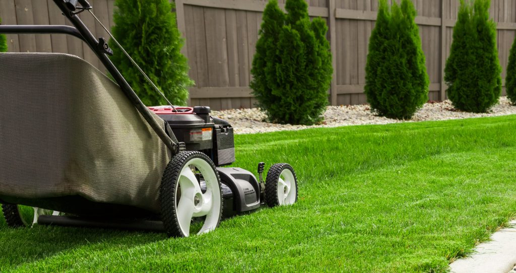Denton Lawn Services and Denton Lawn Care Coffey's